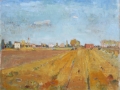 Vittorio Carradore, Campagne nel basso veronese