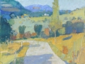 Vittorio Carradore, Strada in collina